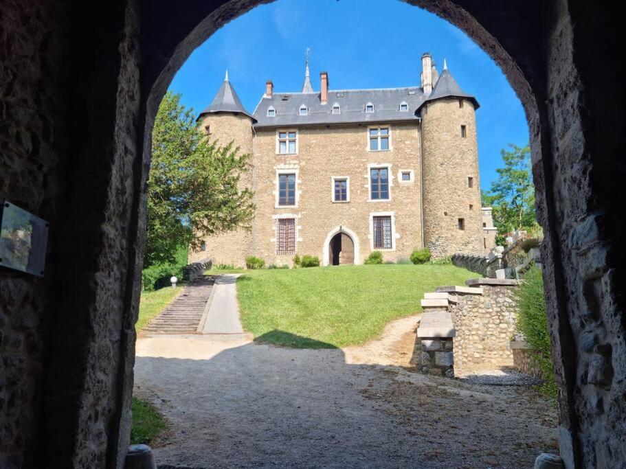 Chateau D'Uriage - Duplex Avec Terrasse Privative Saint-Martin-dʼUriage 外观 照片
